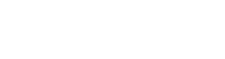 HolmsIT logo
